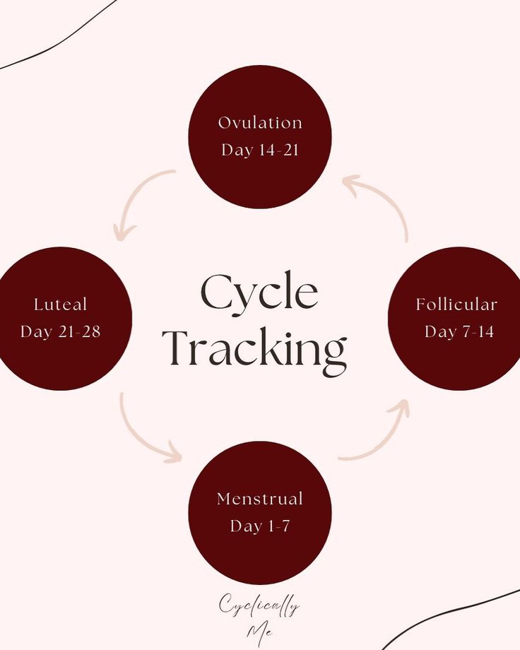 Phases of Your Cycle